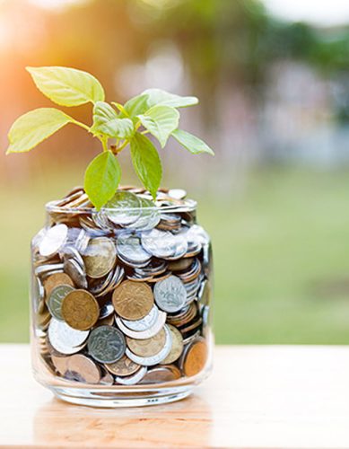 jar-coins-plant-2